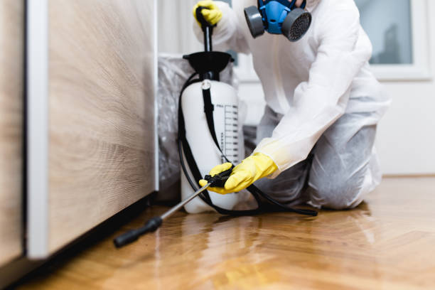 Reliable Fort Benton, MT Pest Control Solutions