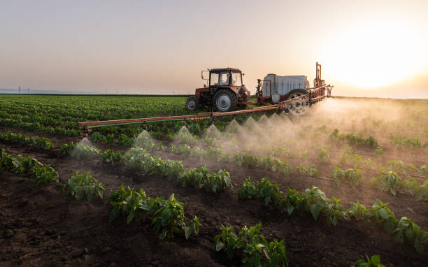 Pest Prevention Services in Fort Benton, MT