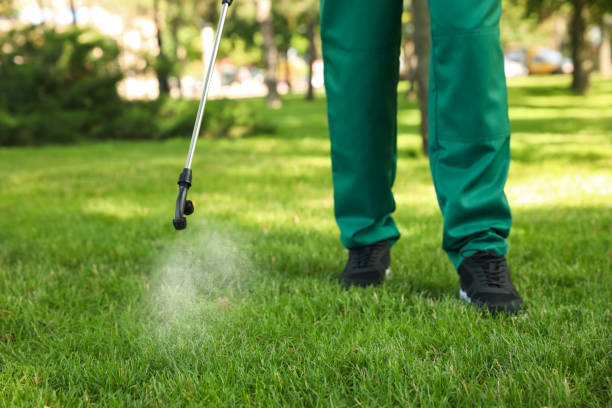 Best Pest Prevention Services  in Fort Benton, MT