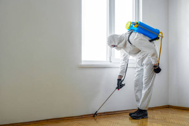 Best Pest Control Near Me in Fort Benton, MT