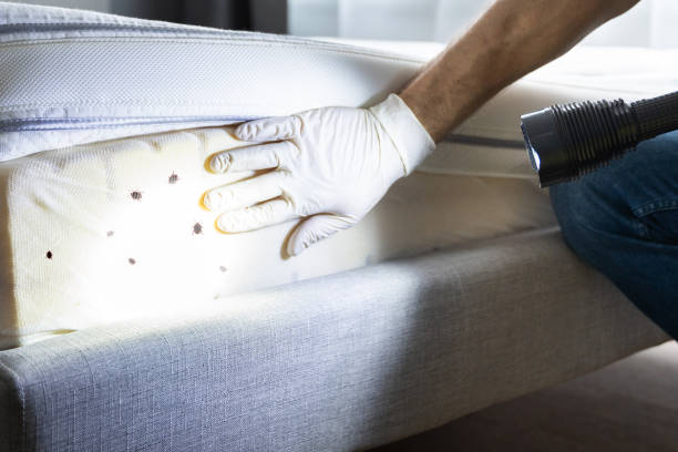 Best Cockroach Control Services  in Fort Benton, MT