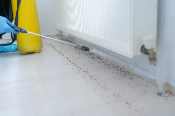 Best Pest Control for Businesses  in Fort Benton, MT