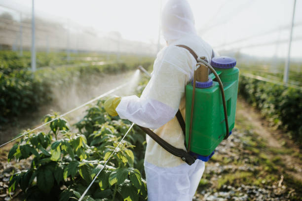 Best Pest Removal Services  in Fort Benton, MT